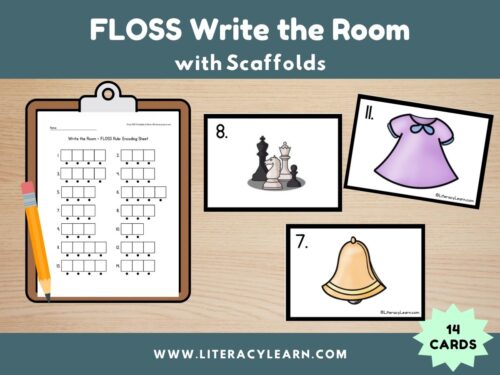 Cover titled "FLOSS Write the Room" with notebook and picture cards with recording sheet.