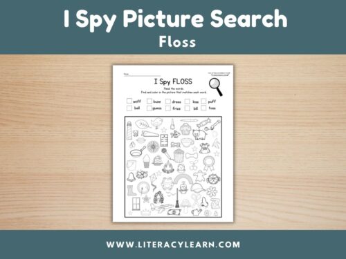 I Spy: FLOSS Words