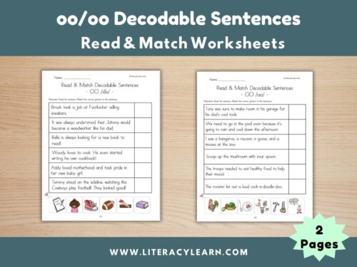 Cover image for decodable sentences for oo/oo words.