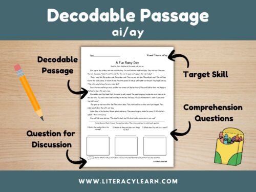 Cover for decodable story for words with vowel teams ai/ay.