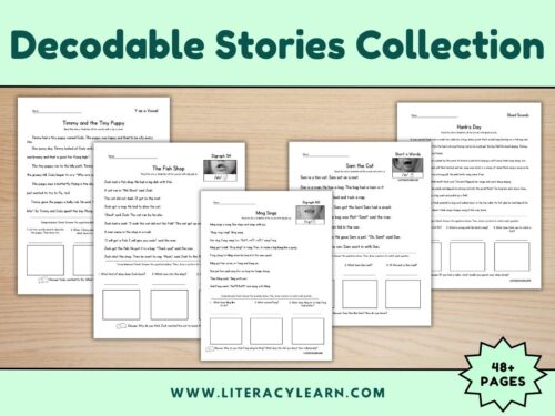 Cover showing decodable story collection.