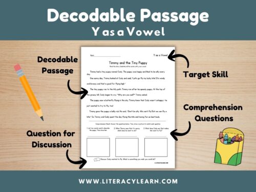 Cover showing decodable story that focuses on Y as a vowel.
