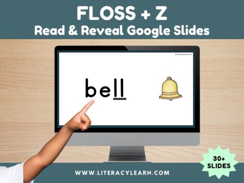 Graphic titled, "FLOSS + Z Read and Reveal Google Slides."