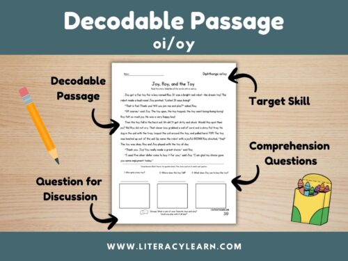 Cover showing decodable story for diphthongs oi/oy.