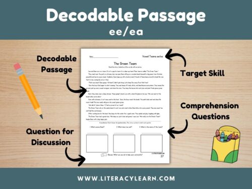 Cover showing decodable story for vowel team ee/ea.