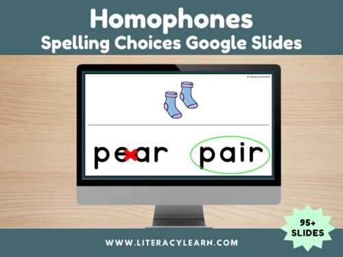 Homophones Google Slides: Spelling Choices