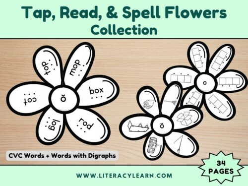 Tap, Read & Spell Flowers Collection