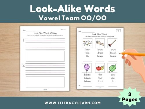 Look Alike Words: Vowel Teams OO/OO