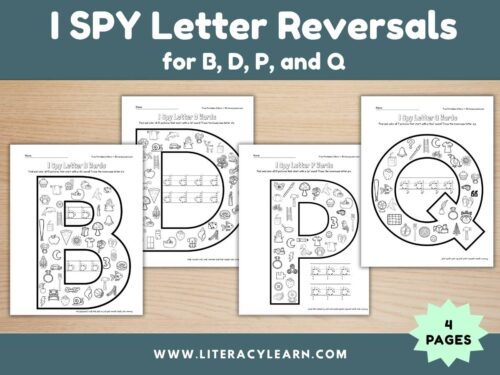 I Spy Letter Reversals: B, D, P, Q