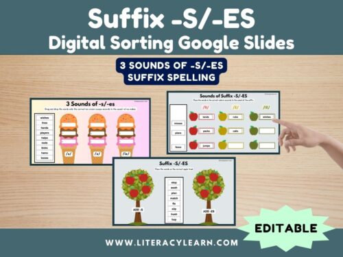 Graphic titled, "suffix -s/-es google slides: digital sorting."