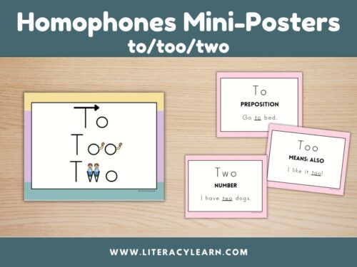 Cover showing homophones mini-posters for to/too/two.
