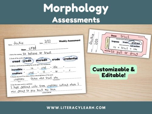 Cover graphic showing two assessments for morphology.