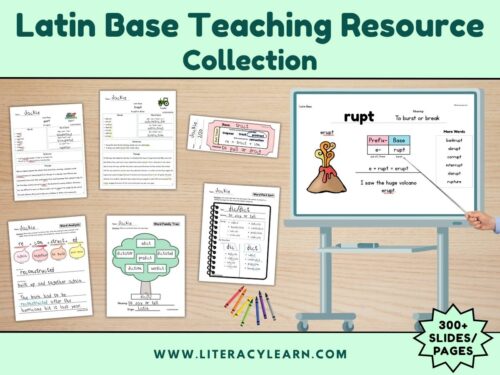 Cover photo showing Latin Bases collection.