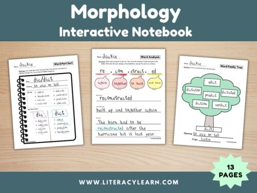 Graphic showing three pages of the morphology interactive notebook.