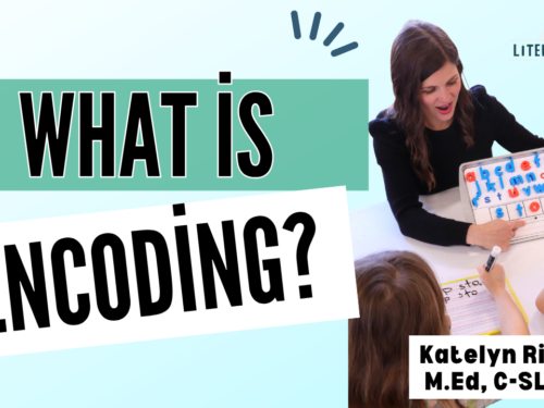 Youtube cover photo titled, "What is encoding?"