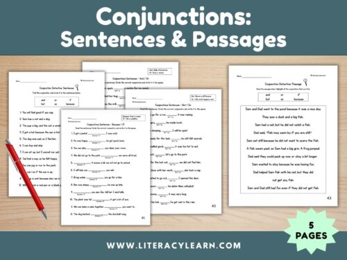 Graphic titled, "conjunctions sentences and passages."